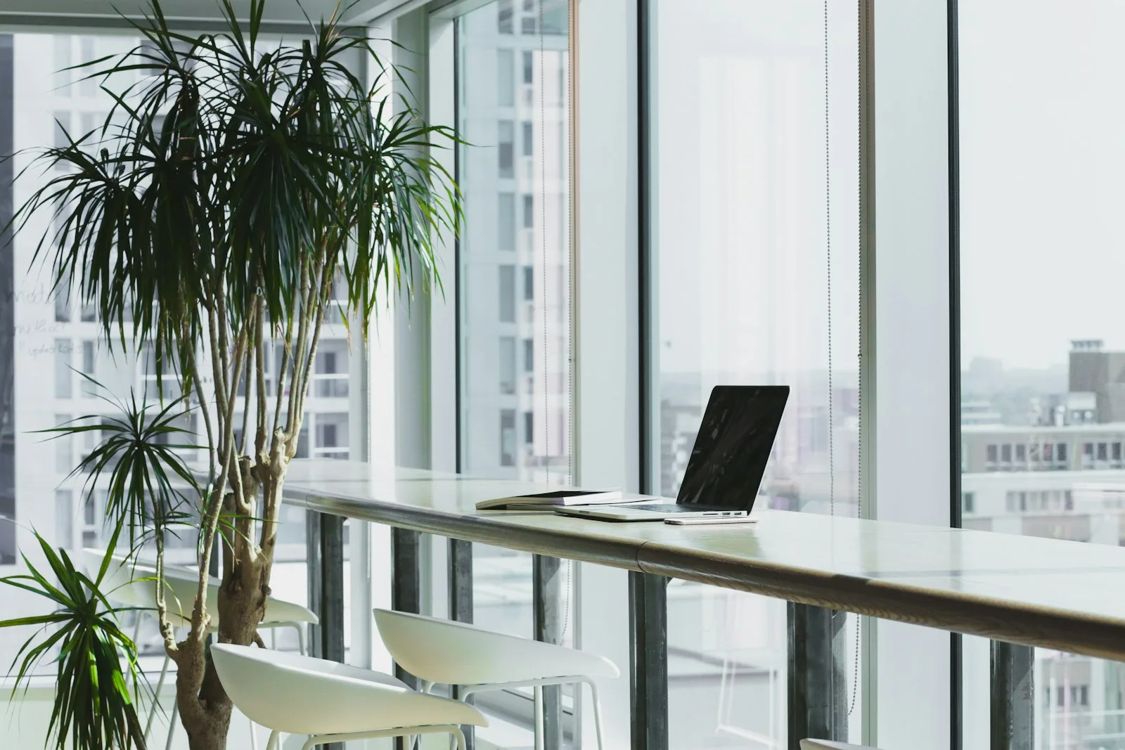 A laptop on a standing desk beside a large office plant with a city view